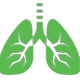 Lungs